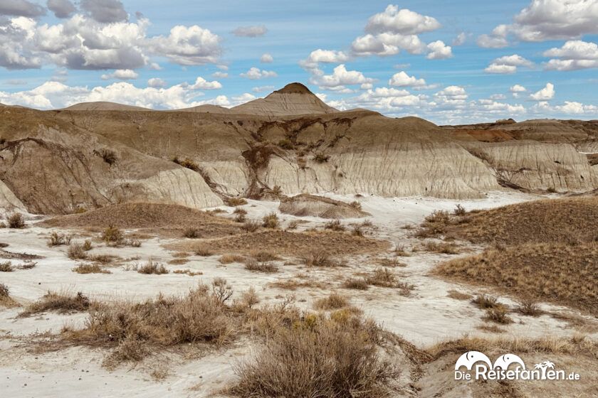 Dinosaur Provincial Park in Alberta 41