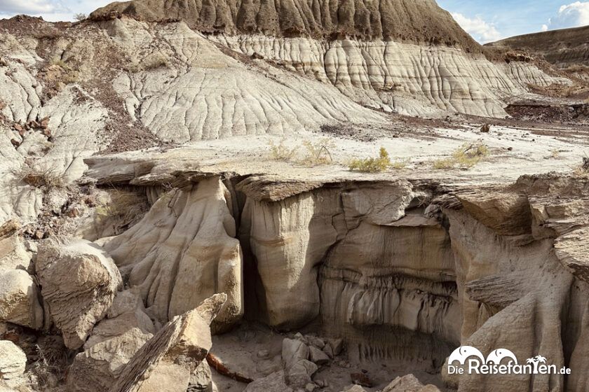 Dinosaur Provincial Park in Alberta 51