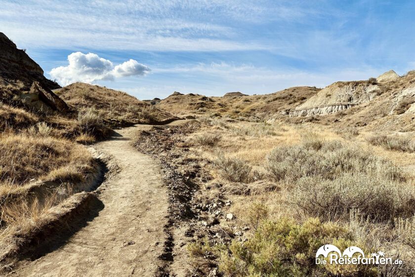 Dinosaur Provincial Park in Alberta 6