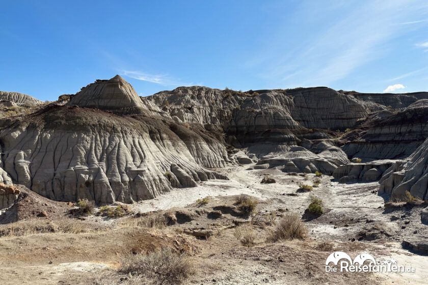Dinosaur Provincial Park in Alberta 7