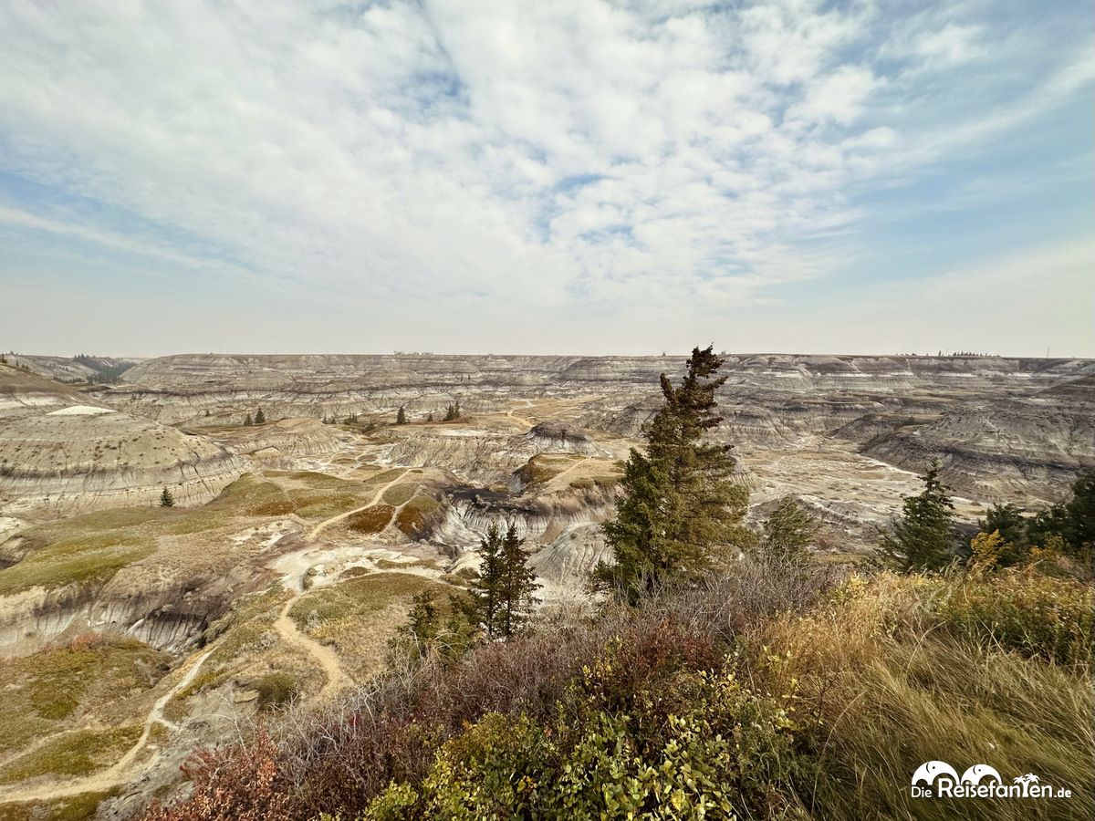 Horsehoe Canyon 10