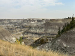 Horsehoe Canyon 3