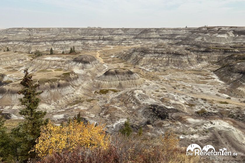 Horsehoe Canyon 4