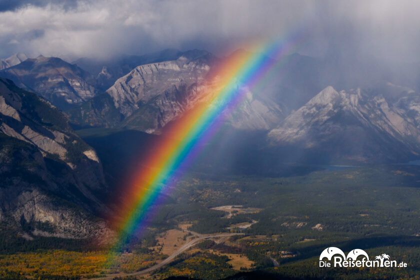 Banff Gondola (4)