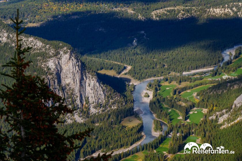 Banff Gondola (7)