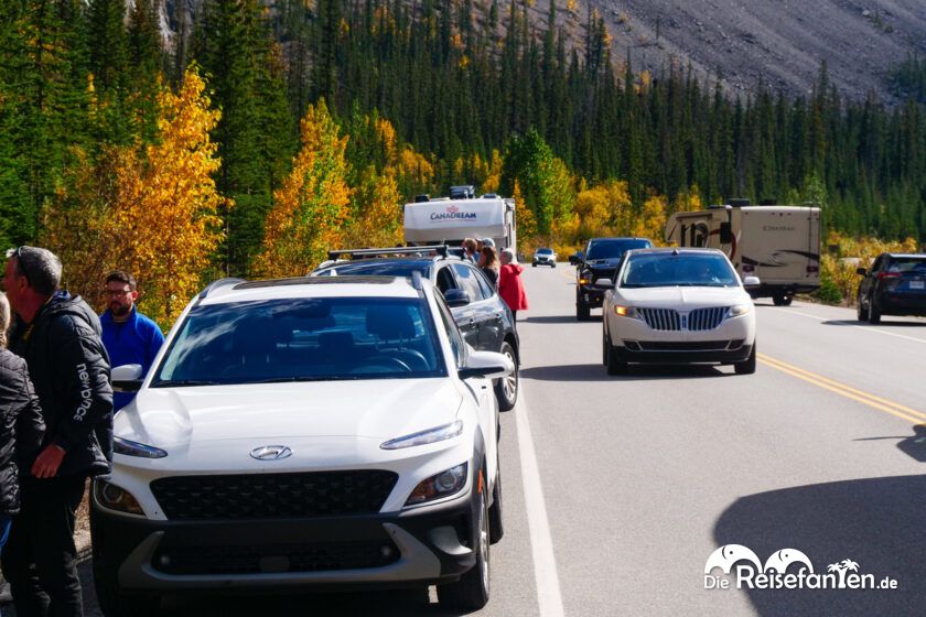 Columbia Icefield Parkway (11)