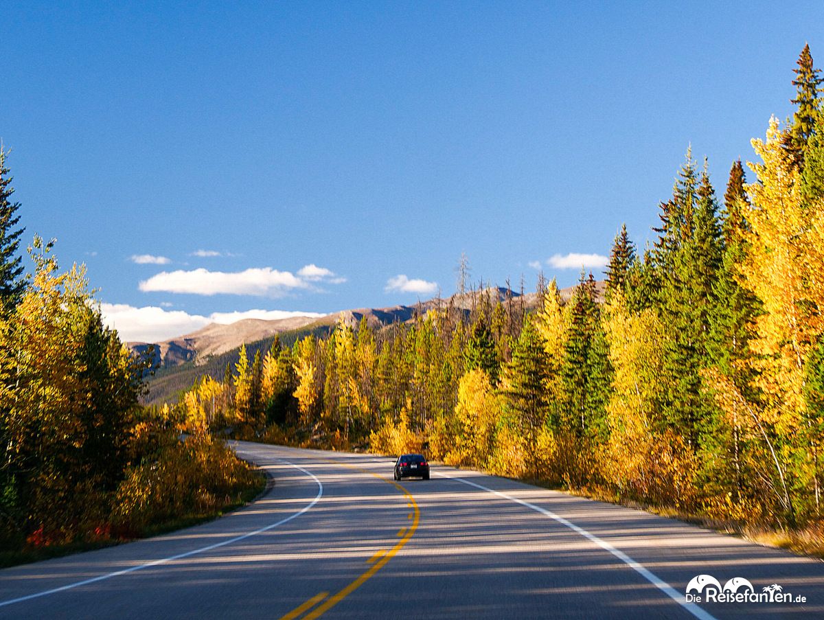 Columbia Icefield Parkway (13)