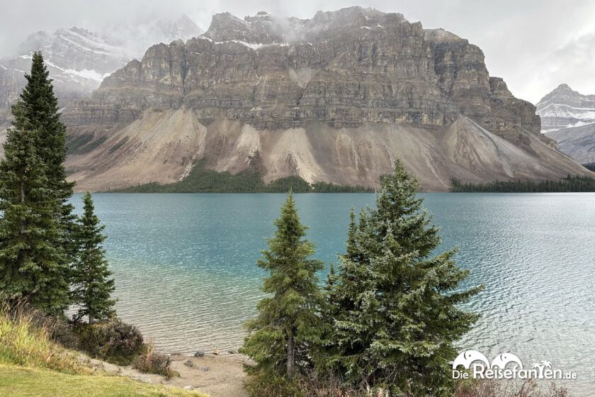 Columbia Icefield Parkway (15)