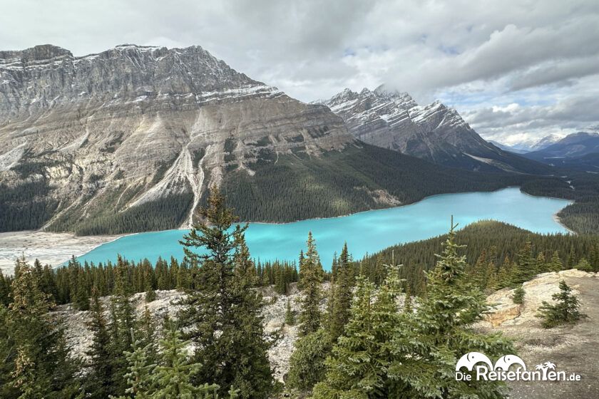 Columbia Icefield Parkway (17)