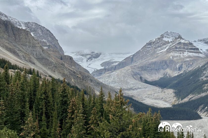 Columbia Icefield Parkway (18)