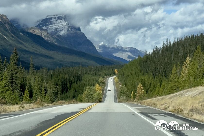 Columbia Icefield Parkway (22)