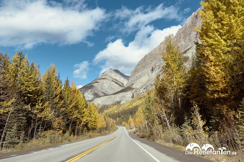 Columbia Icefield Parkway (4)