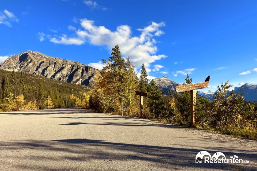 Columbia Icefield Parkway (8)