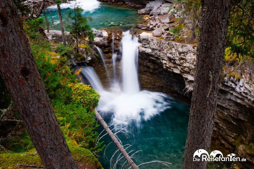 Johnston Canyon (10)