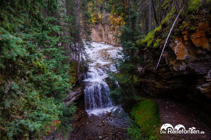 Johnston Canyon (12)