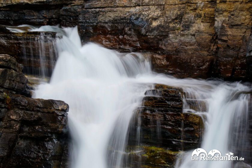 Johnston Canyon (13)