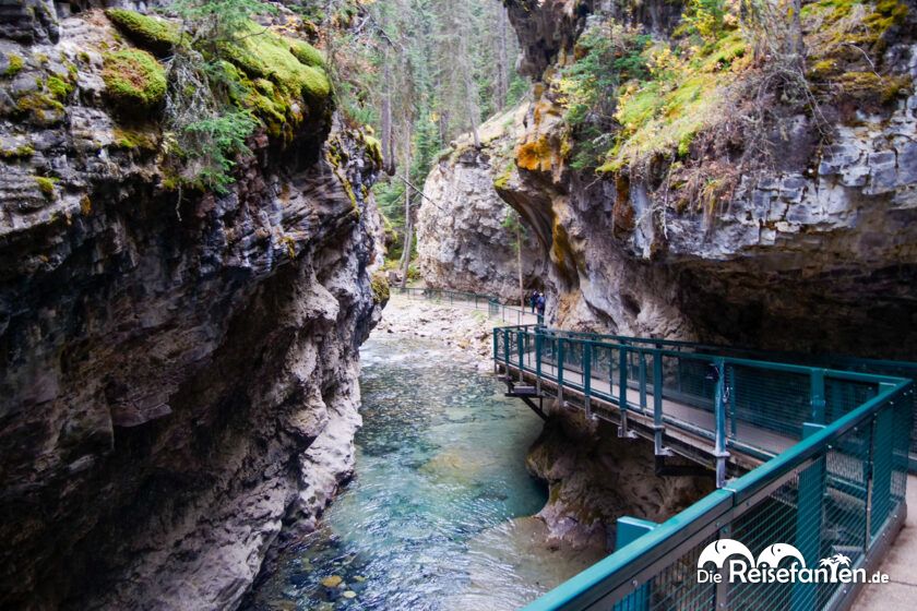 Johnston Canyon (14)