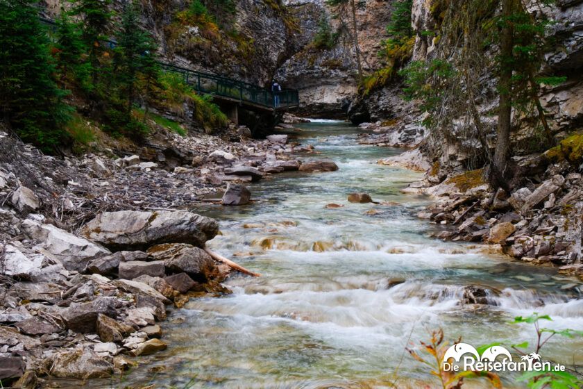 Johnston Canyon (5)