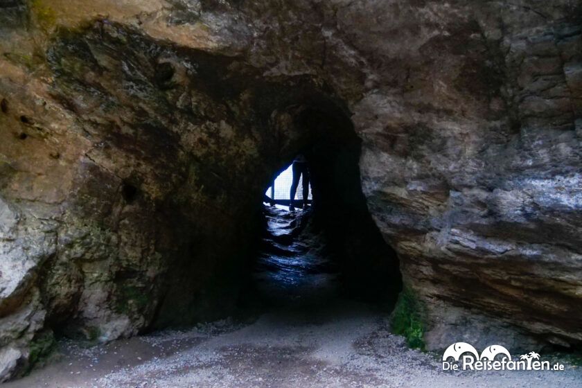 Johnston Canyon (7)