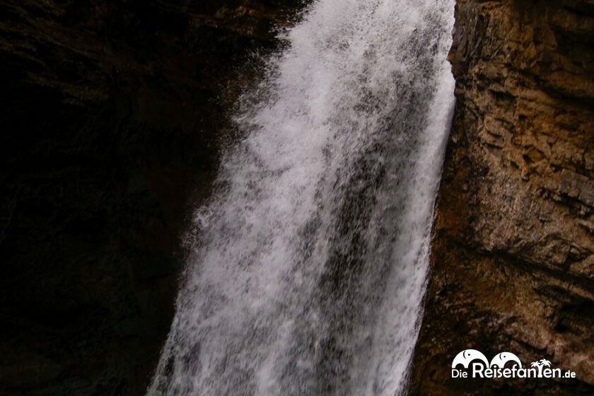 Johnston Canyon (8)