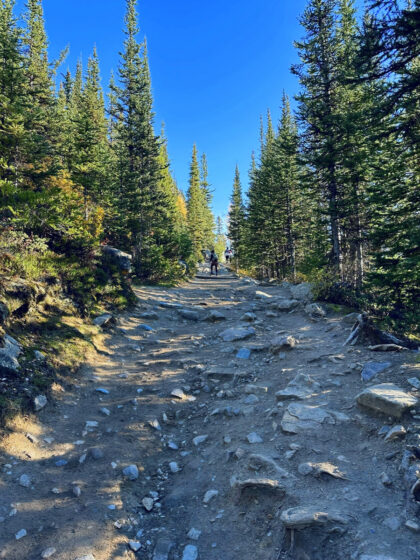 Lake Agnes Tea House (12)