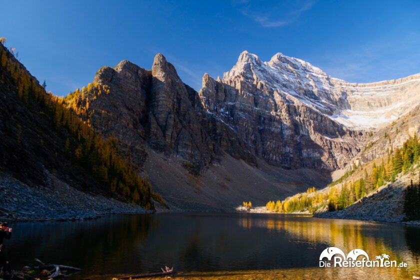 Lake Agnes Tea House (21)