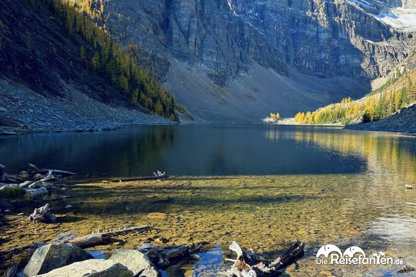 Lake Agnes Tea House (22)