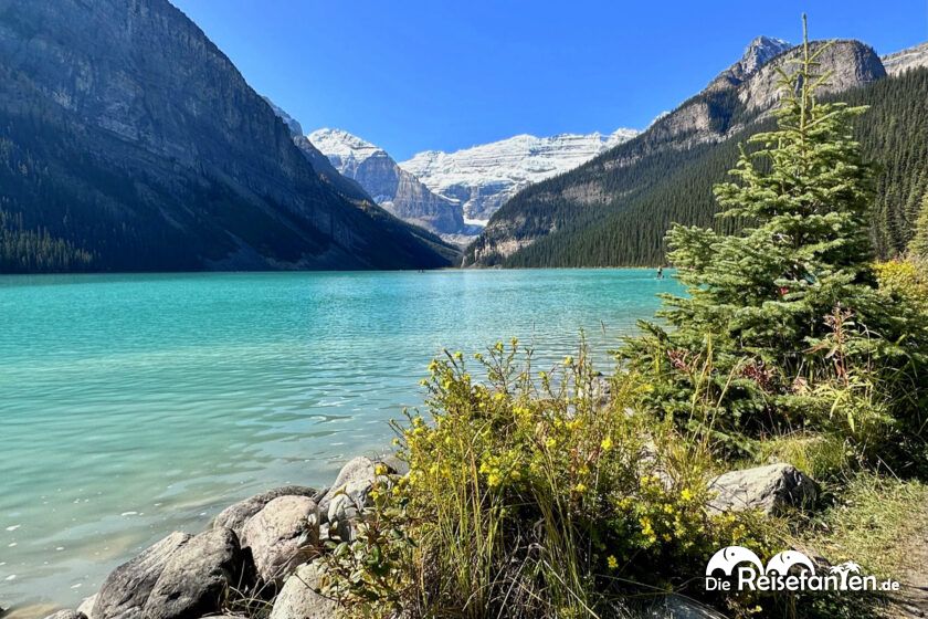 Lake Agnes Tea House (26)