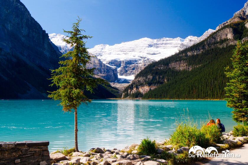 Lake Agnes Tea House (27)