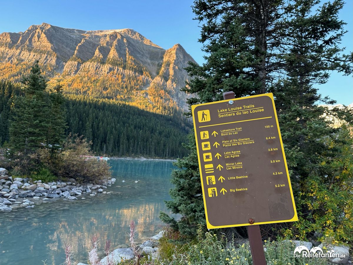 Lake Agnes Tea House (4)