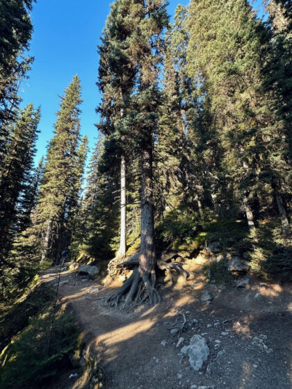 Lake Agnes Tea House (7)