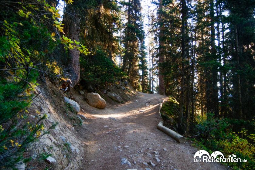 Lake Agnes Tea House (8)