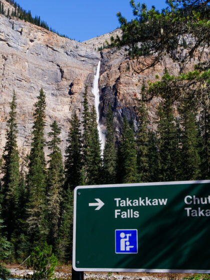 Takkakaw Falls (2)