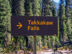 Takkakaw Falls (3)