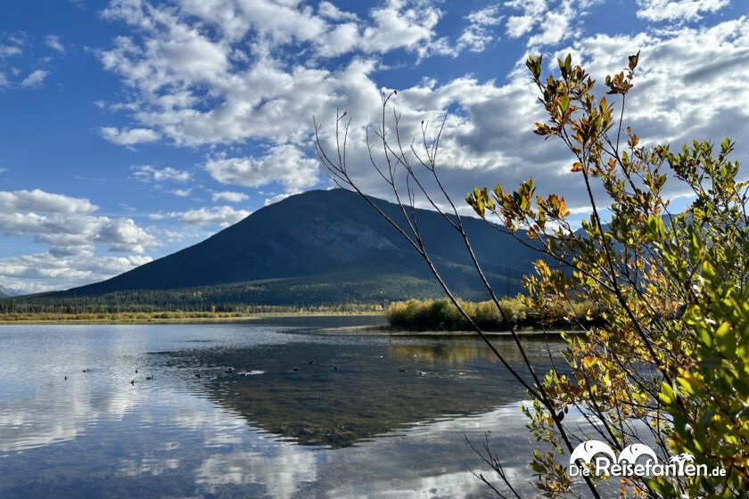 Vermilion Lakes (2)