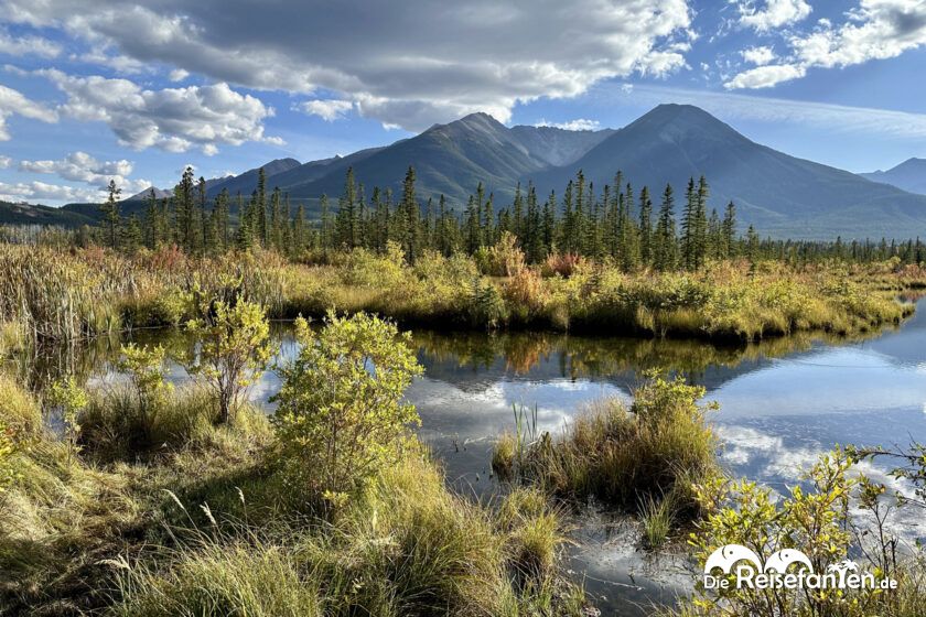 Vermilion Lakes (4)