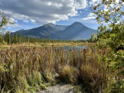 Vermilion Lakes (5)