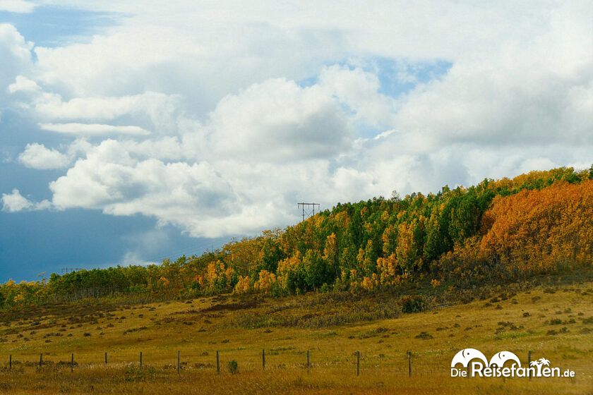 Von Drumheller nach Canmore 5