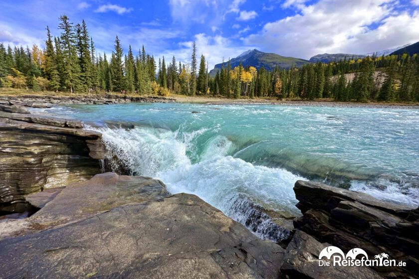 Athabasca Falls (11)