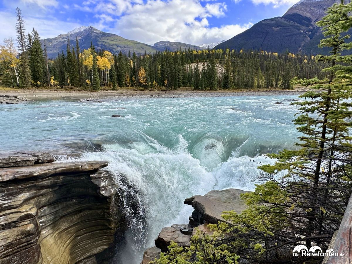 Athabasca Falls (13)