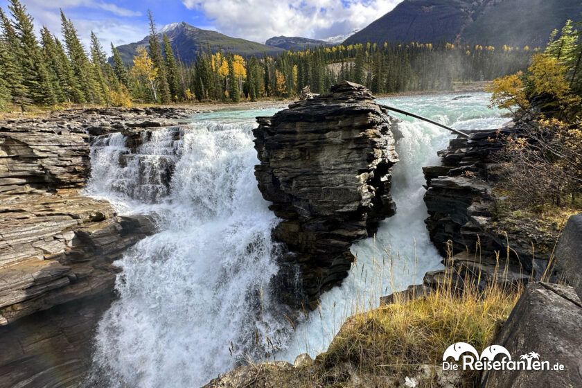 Athabasca Falls (15)