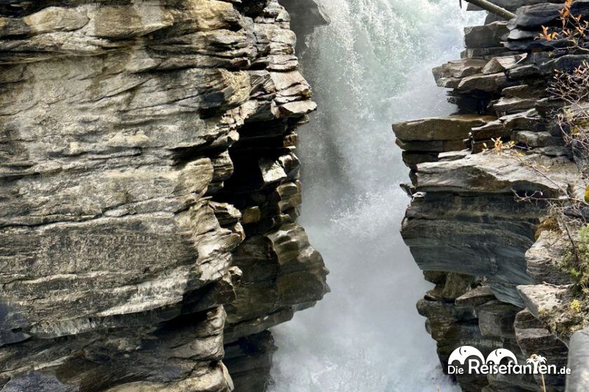 Athabasca Falls (16)