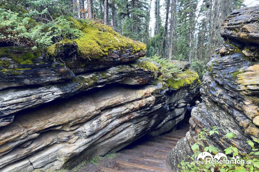 Athabasca Falls (19)
