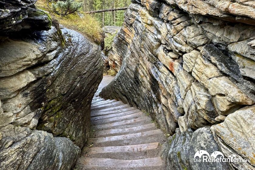 Athabasca Falls (20)
