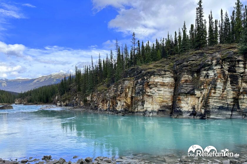 Athabasca Falls (21)