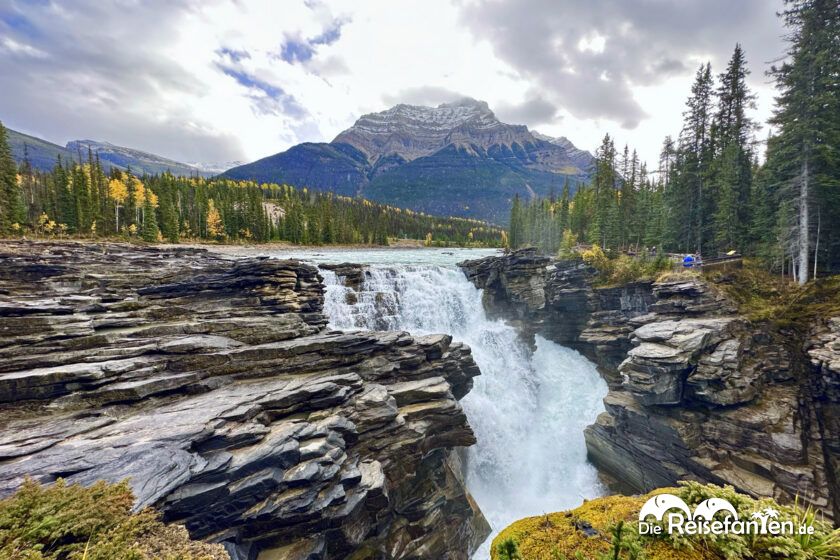 Athabasca Falls (5)