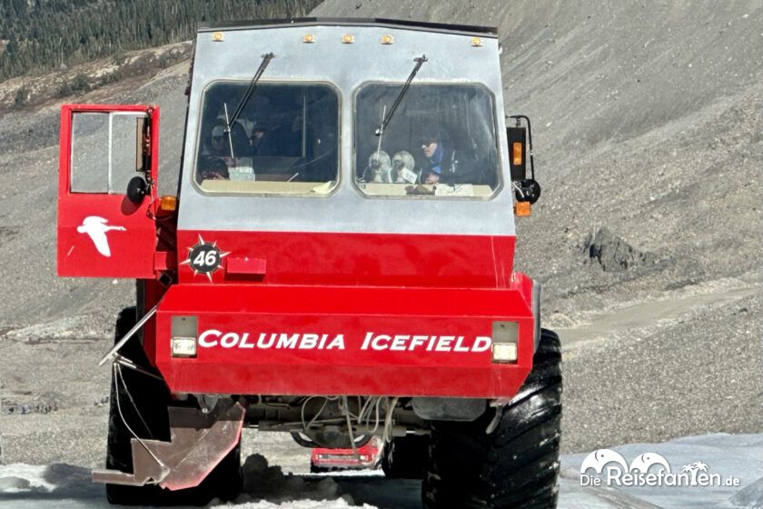 Columbia Icefield (10)