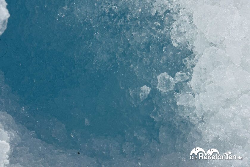 Columbia Icefield (13)