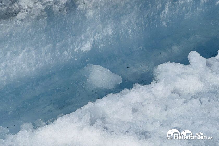 Columbia Icefield (14)