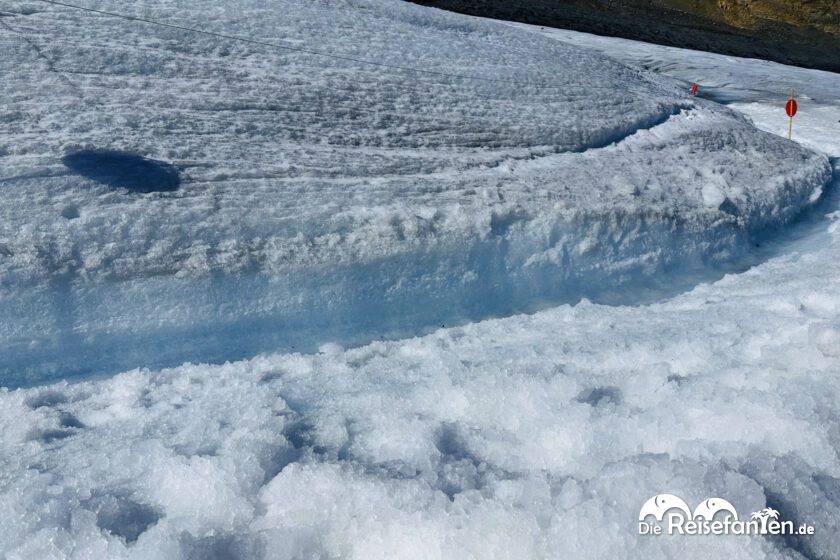 Columbia Icefield (15)